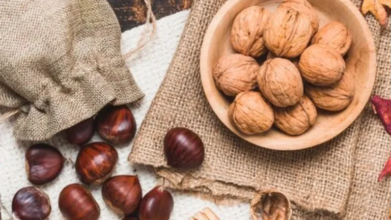 Proteínas Anti-inflamatórias: 4 alimentos essenciais para combater inflamação crônica