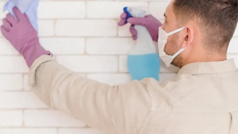 7 métodos caseiros e eficientes para limpar parede engordurada