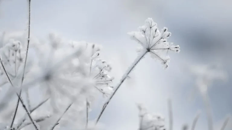 Não gosta de frio? Confira algumas dicas para melhorar de humor no inverno.